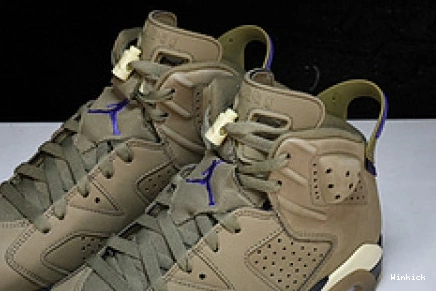 Kelp Gore-Tex Jordan Retro Brown  6 Air FD1643-300 1209